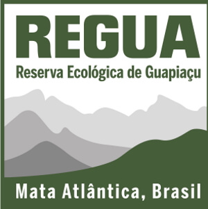 REGUA logotipo