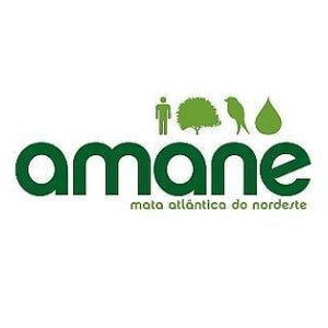 Amane logotipo