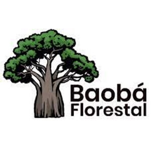 Baobá Florestal logotipo