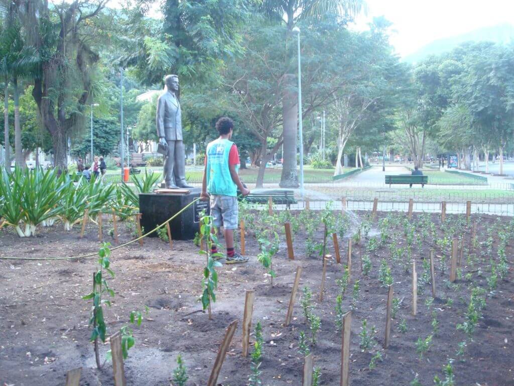 área plantada pelo Projeto Reborboletar