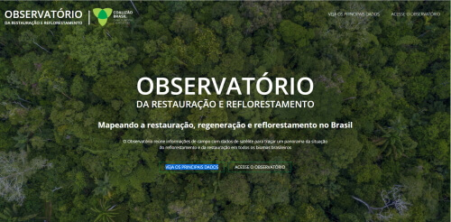 Tela do website do Observatório da Restauração