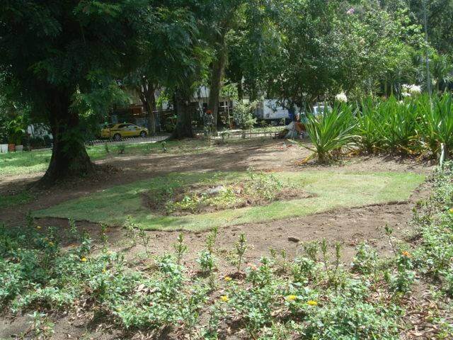 Praça plantada pelo Projeto Reborboletar