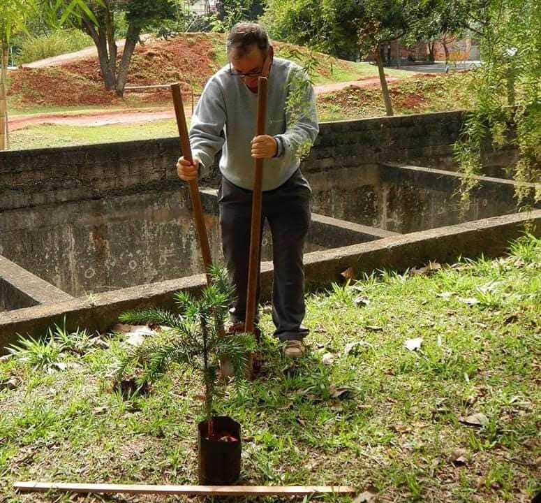 Hélio da Silva planta uma araucária no Parque Linear Tiquatira