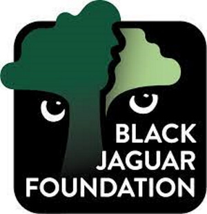 Black Jaguar Foundation logotipo