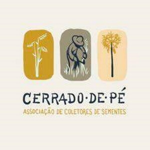 Cerrado de Pé logotipo