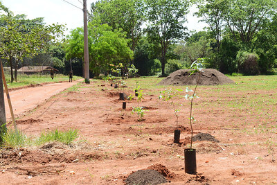 área sendo restaurada pelo Projeto Gênesis